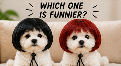 The Wiggle Wig™ Funny Pet Wig Headband