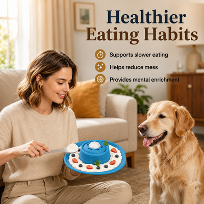 PawPause™ Bowl